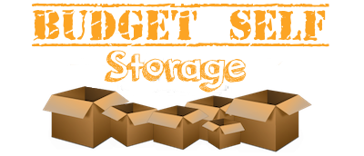 Budget Self Storage logo